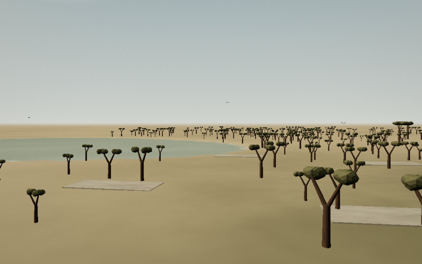 Kirindy Mitea — interprétation 3D