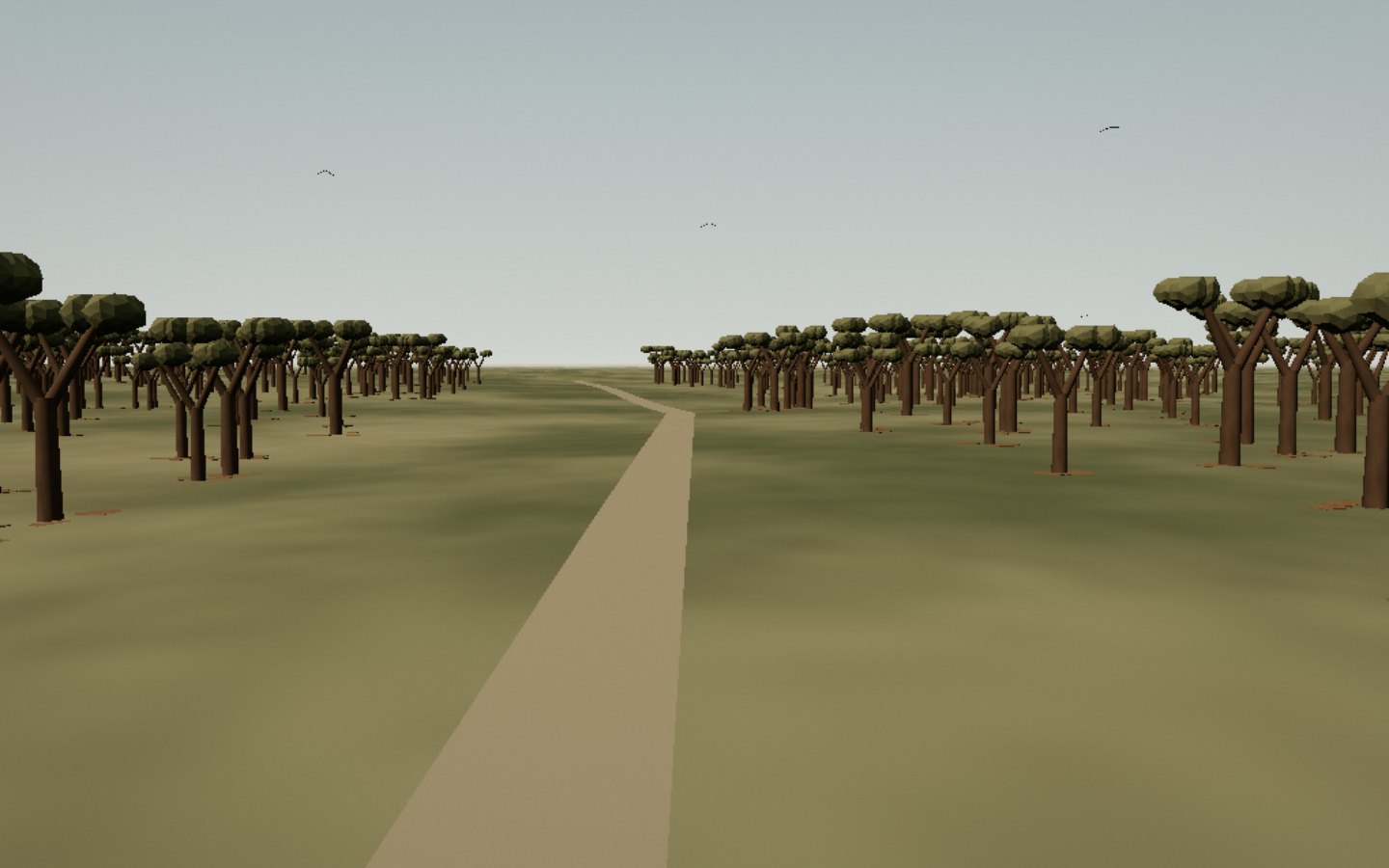 Forêt de Kirindy — interprétation 3D